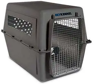 Plastic dog crate